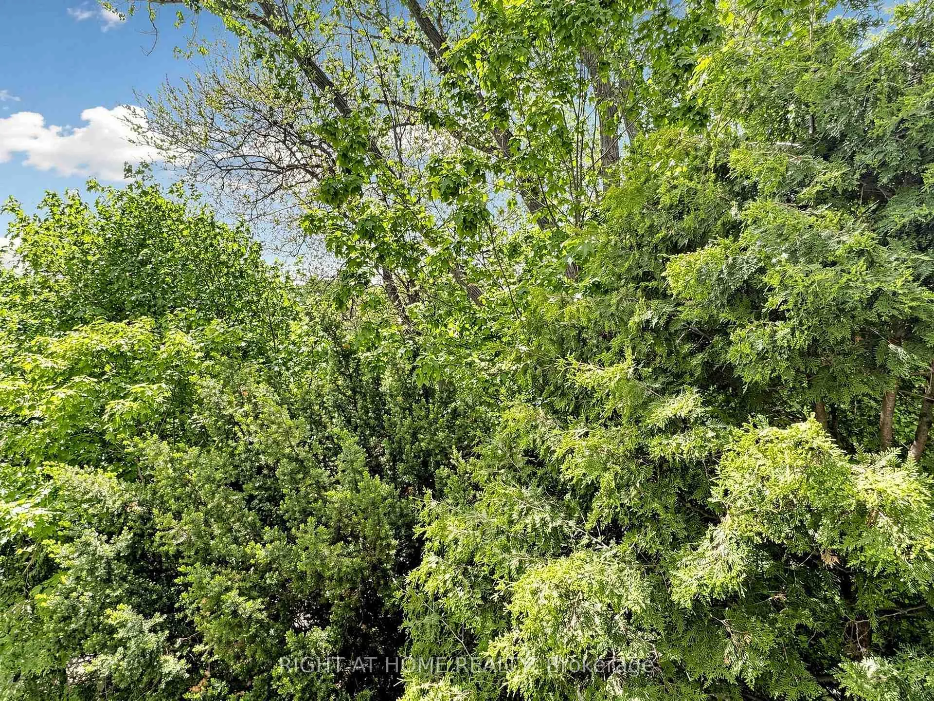 Photo 24 of Unit 14, 20 Budgell Terrace, Toronto, High Park-Swansea — HOMEH