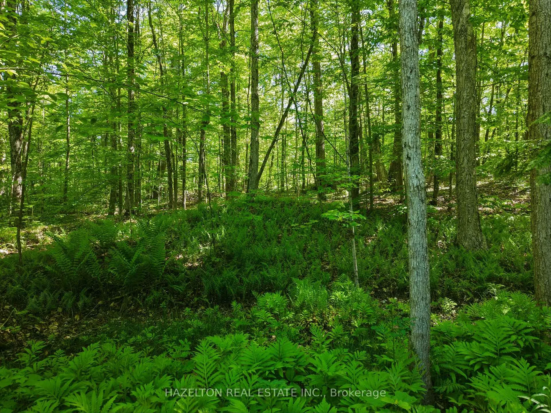 Photo 9 of 4 Elsasser Road, Seguin — HOMEH