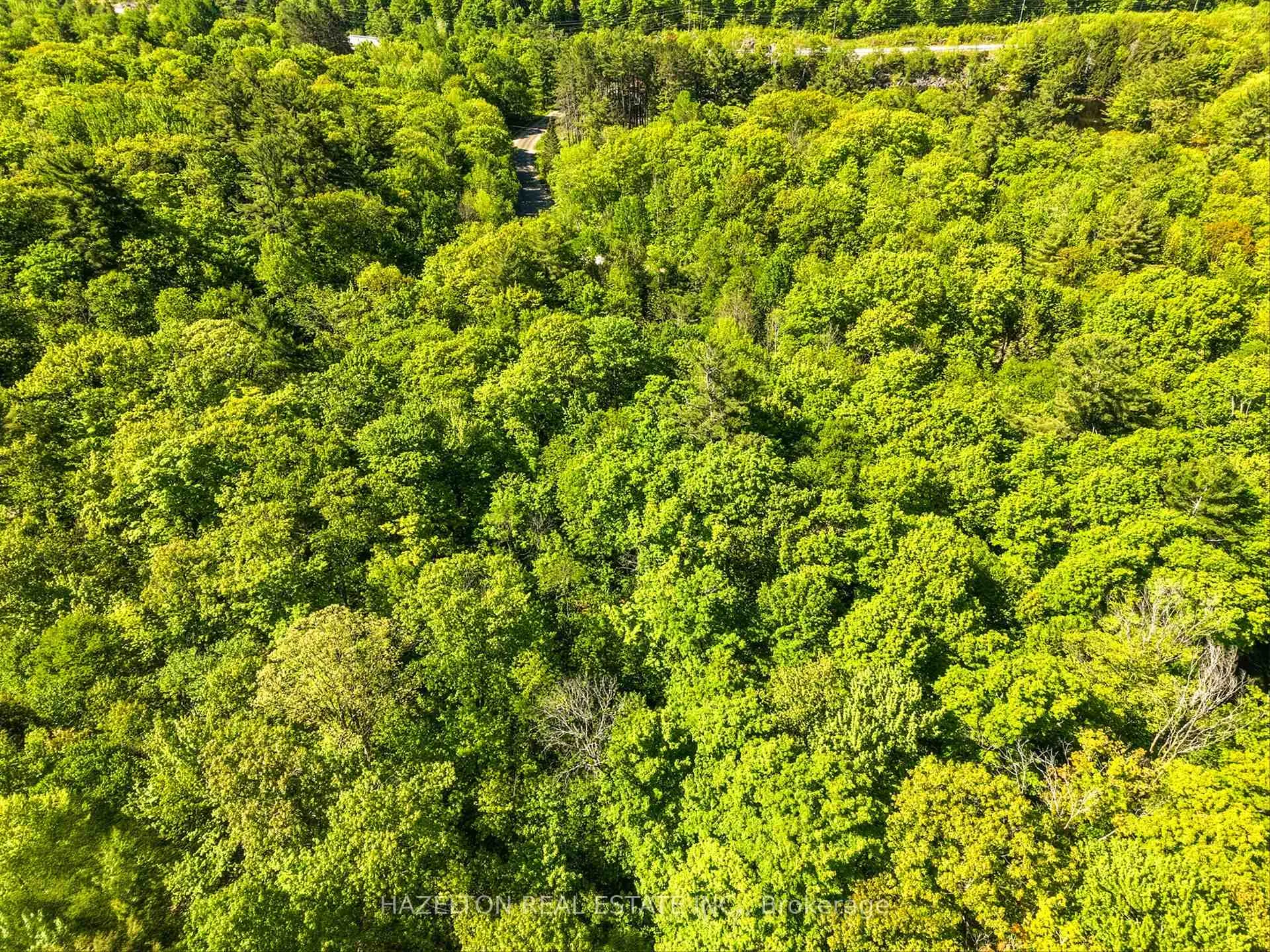Photo 19 of 4 Elsasser Road, Seguin — HOMEH