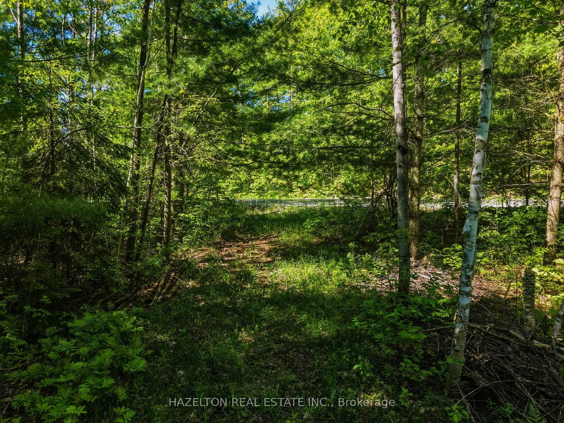 Photo 22 of 4 Elsasser Road, Seguin — HOMEH