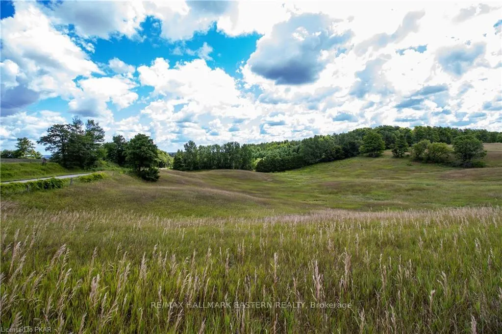 Photo 39 of 534 Meadowview Road, Kawartha Lakes, Emily — HOMEH