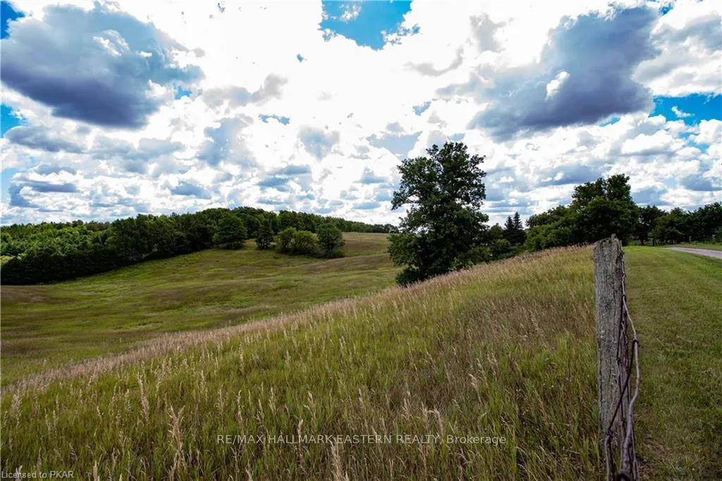 Photo 40 of 534 Meadowview Road, Kawartha Lakes, Emily — HOMEH