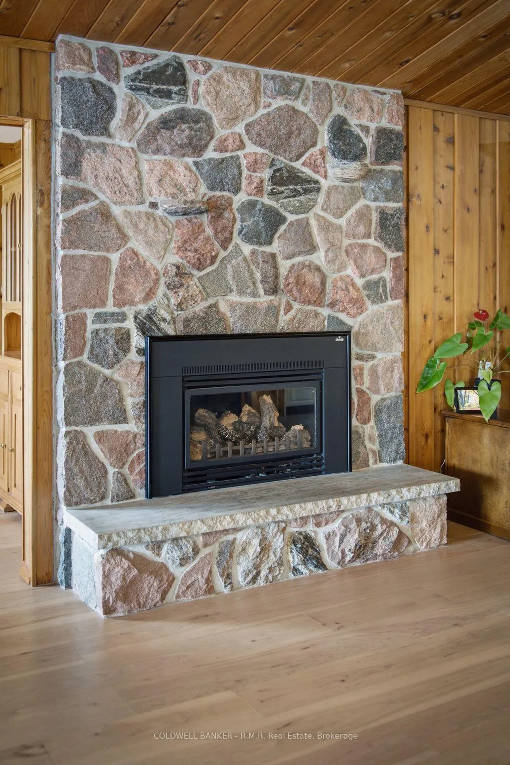 Photo 23 of 207 Hall Drive, Trent Lakes — HOMEH