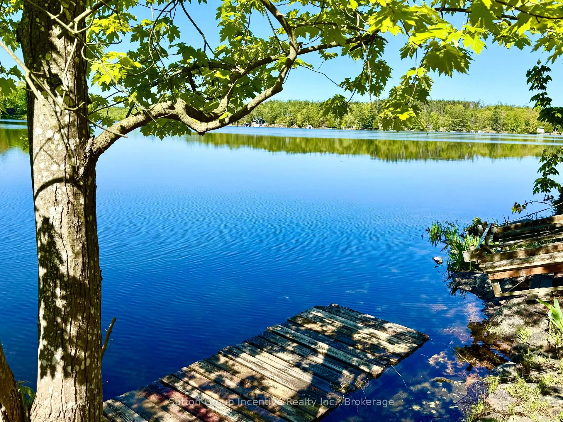 Photo 3 of 1017 Goldfinch Court, Gravenhurst, Morrison — HOMEH