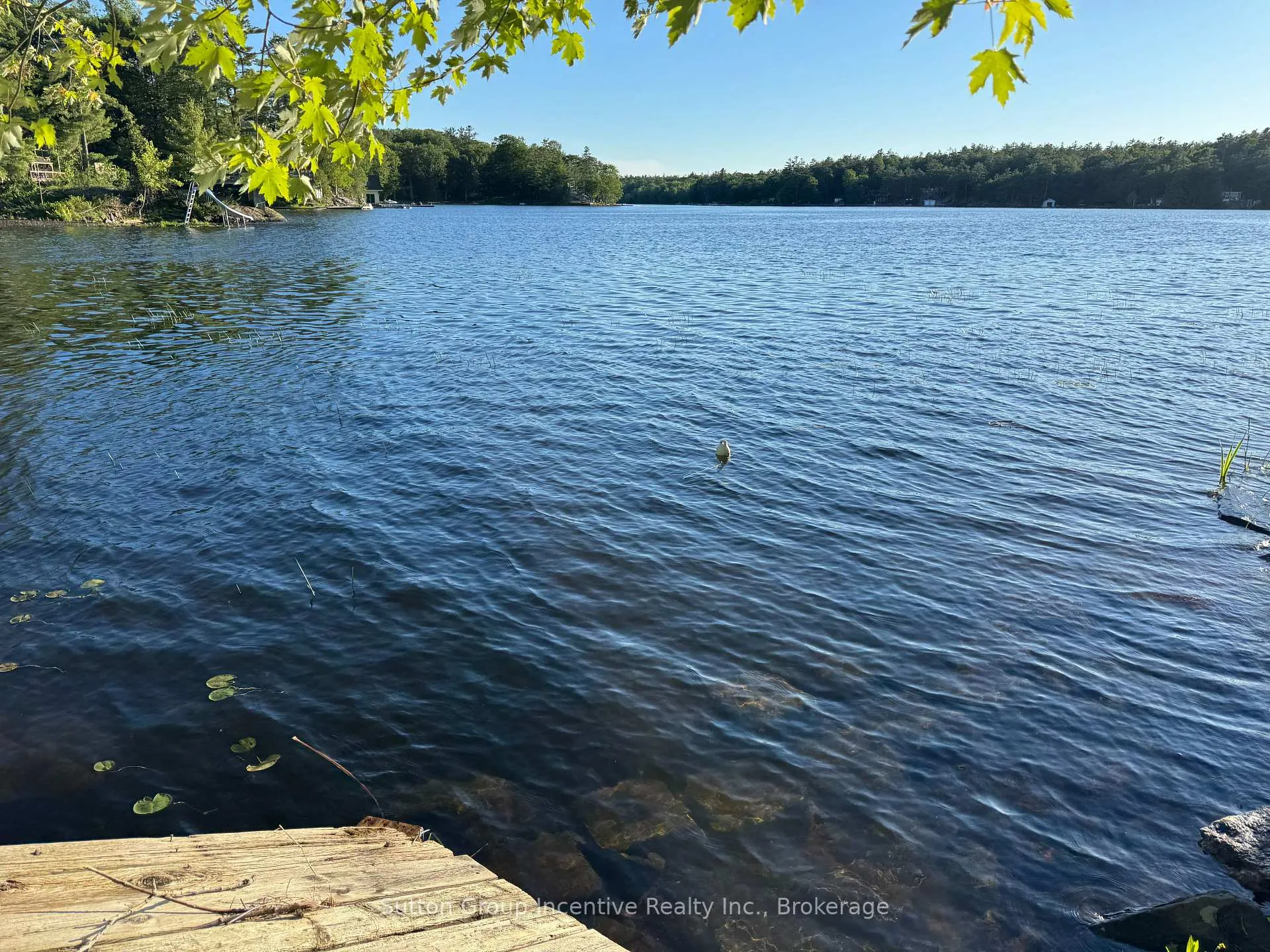 Photo 27 of 1017 Goldfinch Court, Gravenhurst, Morrison — HOMEH