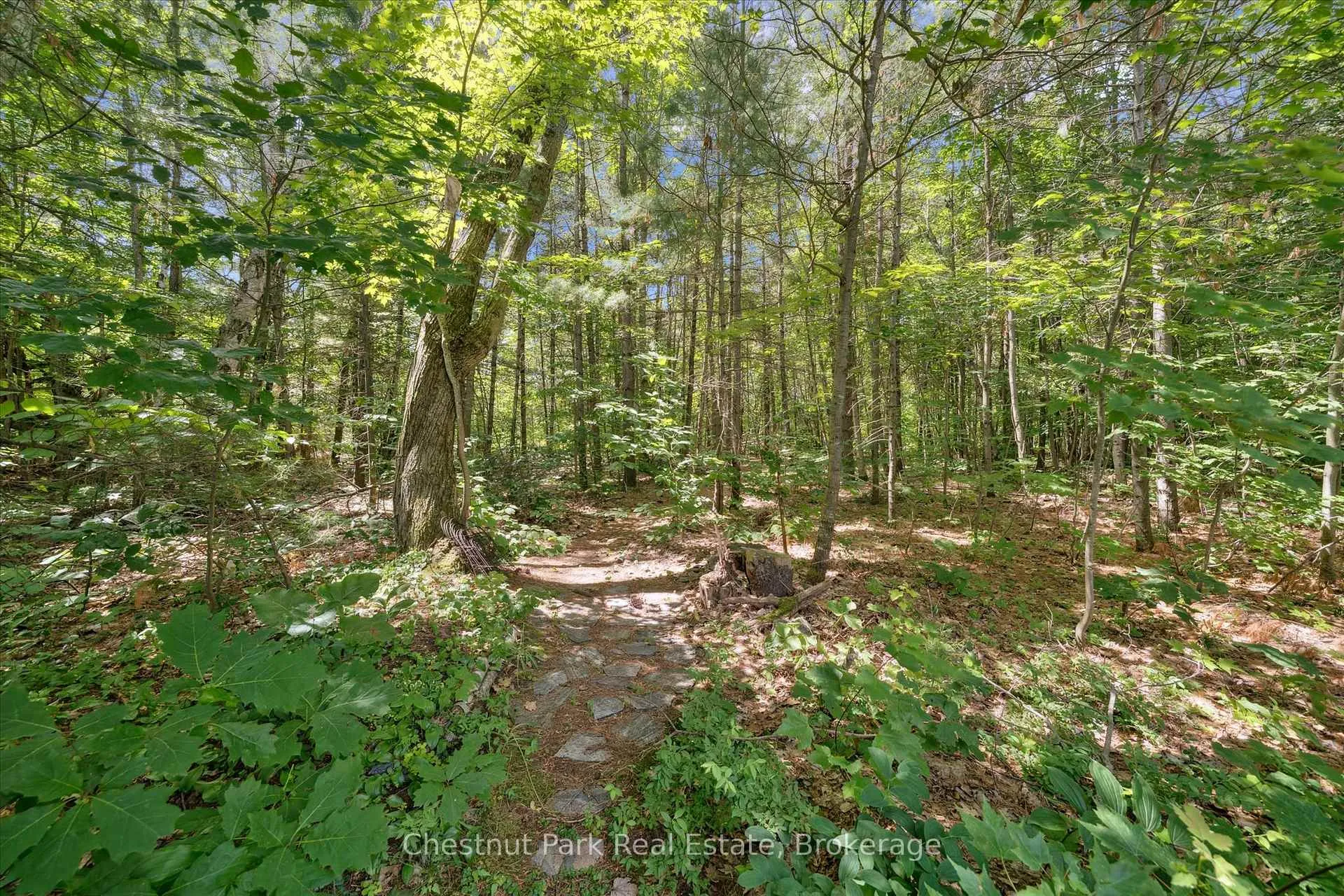 Photo 46 of 153 Pineridge Gate, Gravenhurst, Muskoka (S) — HOMEH