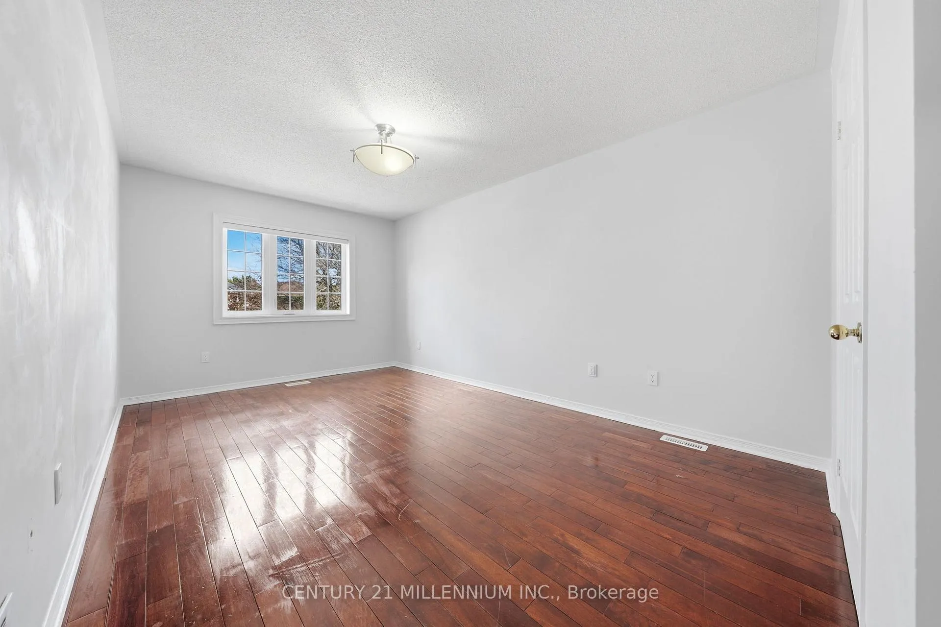 Photo 14 of 23 Elk Street, Brampton, Sandringham-Wellington — HOMEH