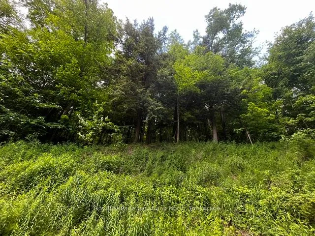 Photo 3 of 8840 9 County Road, Clearview, Rural Clearview — HOMEH