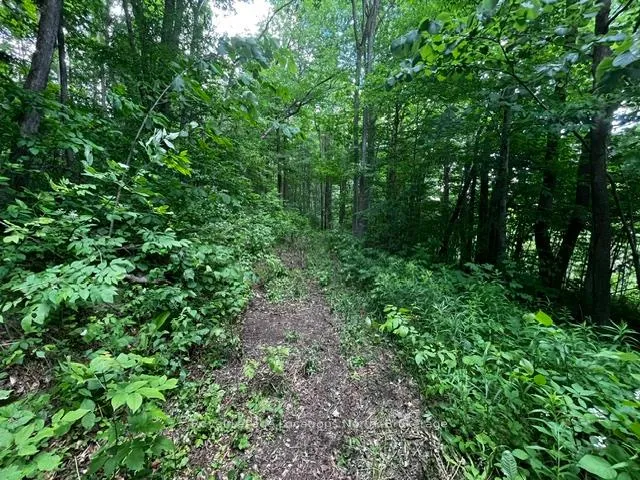 Photo 4 of 8840 9 County Road, Clearview, Rural Clearview — HOMEH