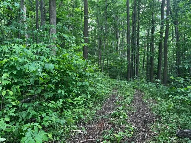Photo 5 of 8840 9 County Road, Clearview, Rural Clearview — HOMEH