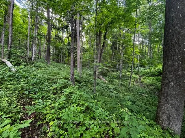 Photo 7 of 8840 9 County Road, Clearview, Rural Clearview — HOMEH