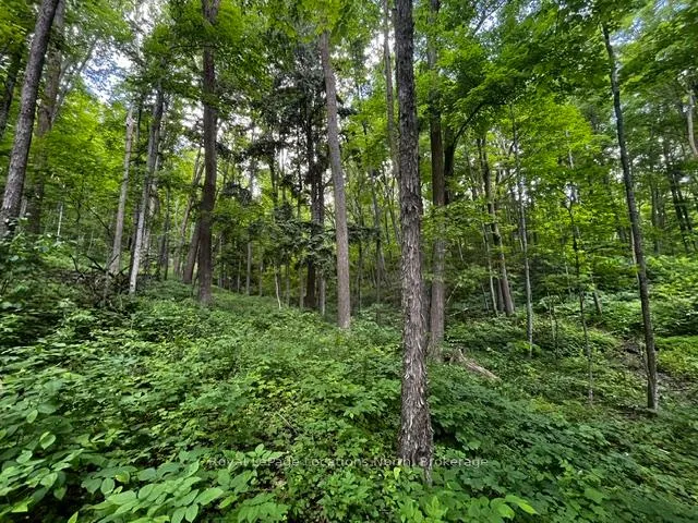 Photo 8 of 8840 9 County Road, Clearview, Rural Clearview — HOMEH