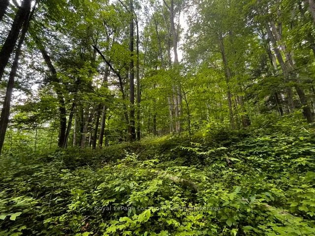 Photo 9 of 8840 9 County Road, Clearview, Rural Clearview — HOMEH