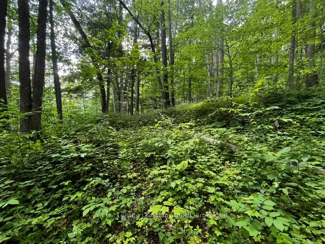 Photo 11 of 8840 9 County Road, Clearview, Rural Clearview — HOMEH