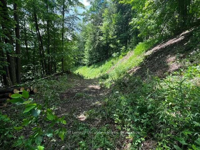 Photo 12 of 8840 9 County Road, Clearview, Rural Clearview — HOMEH