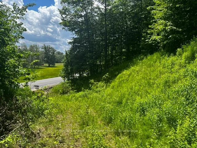 Photo 13 of 8840 9 County Road, Clearview, Rural Clearview — HOMEH