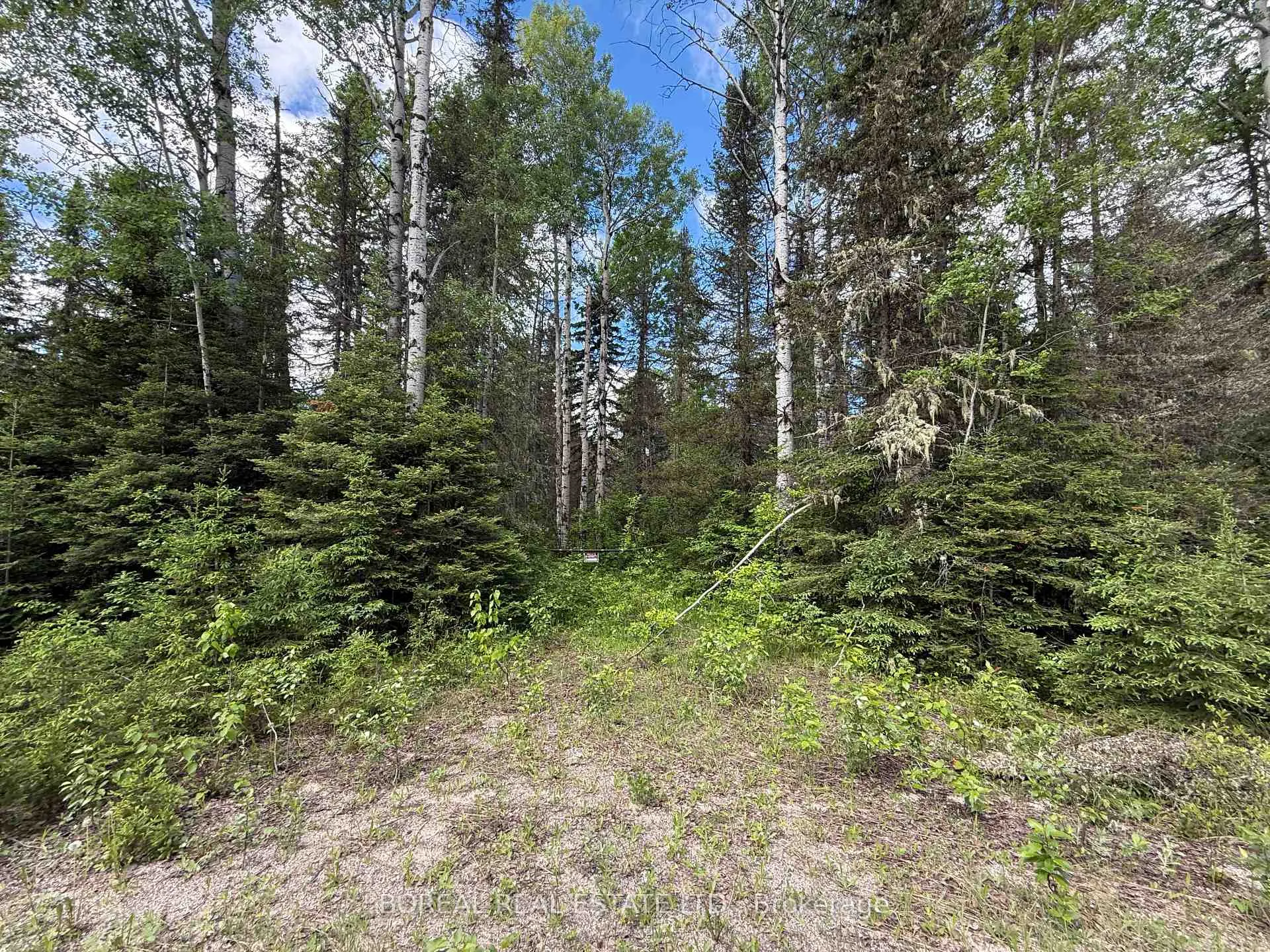 Photo 21 of 81 Bentley Lake Road, Cochrane — HOMEH