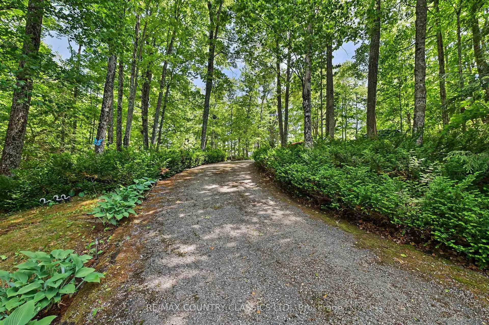 Photo 22 of 287 Doc Evans Road, North Kawartha — HOMEH