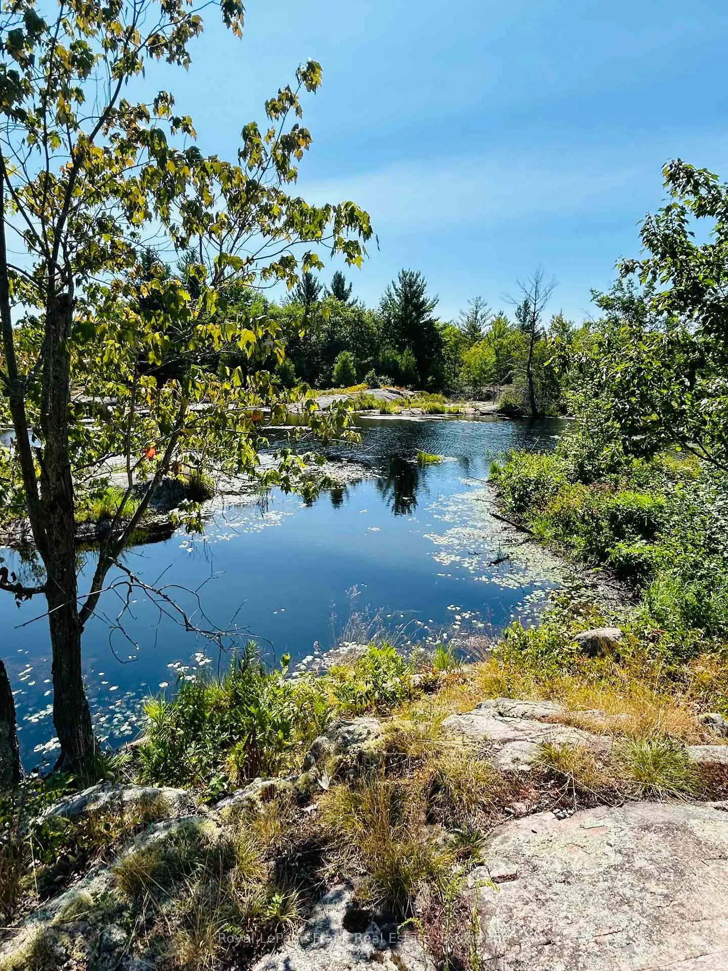 Photo 3 of PT LT 17 Concession 6 Road, Stone Mills, Stone Mills — HOMEH