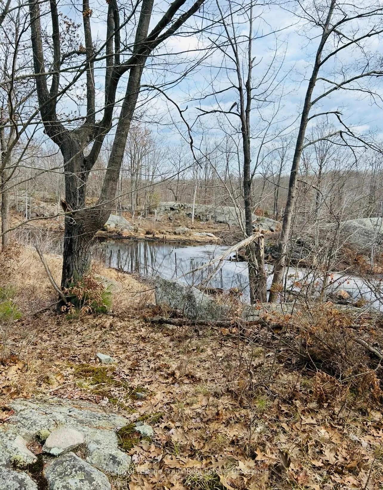Photo 7 of PT LT 17 Concession 6 Road, Stone Mills, Stone Mills — HOMEH