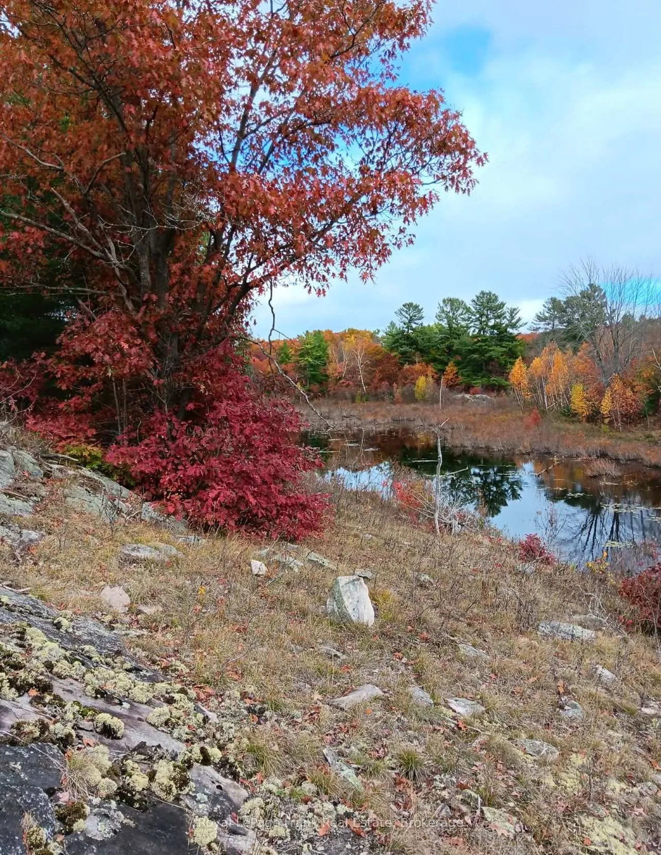 Photo 16 of PT LT 17 Concession 6 Road, Stone Mills, Stone Mills — HOMEH