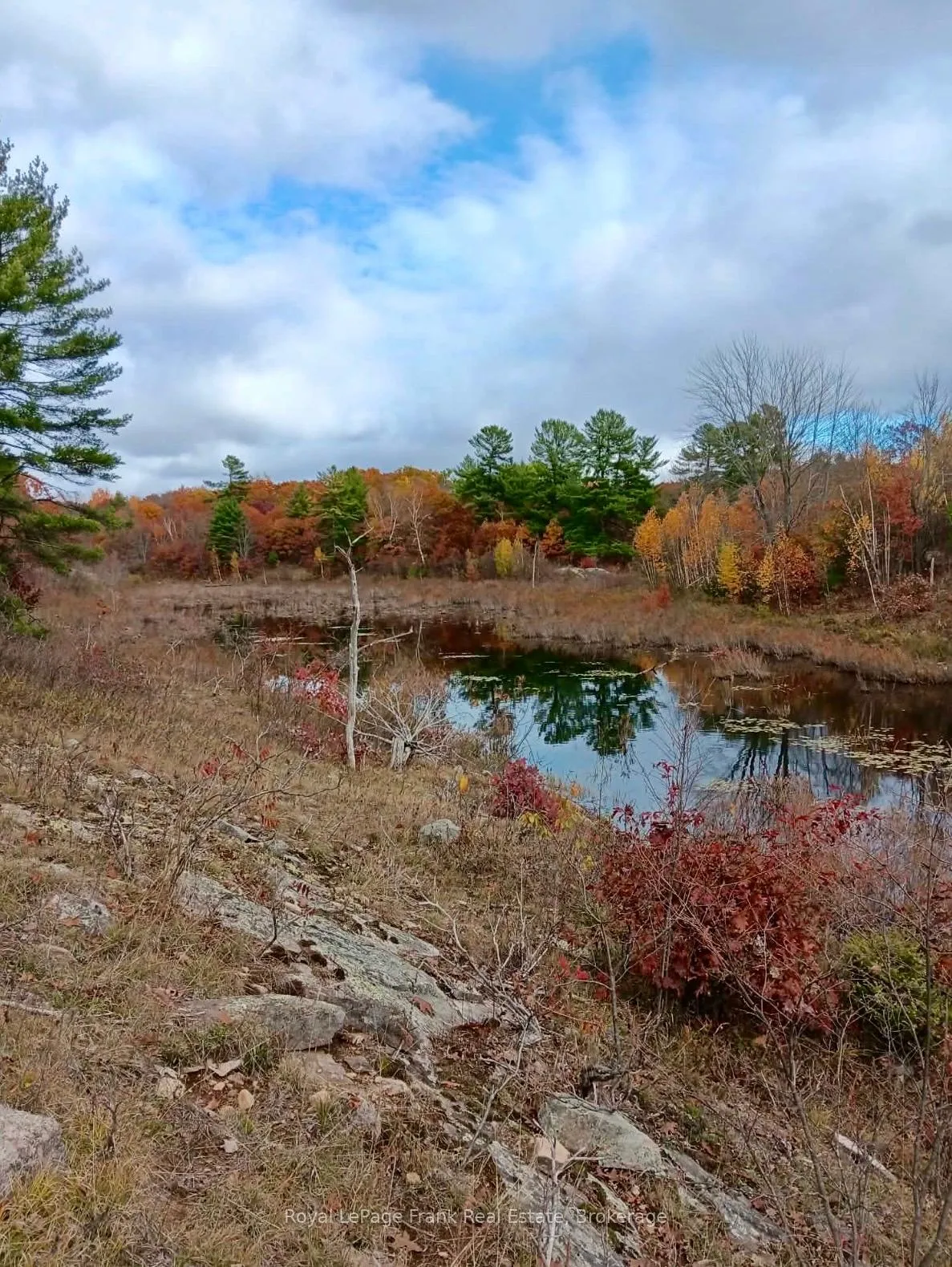 Photo 17 of PT LT 17 Concession 6 Road, Stone Mills, Stone Mills — HOMEH