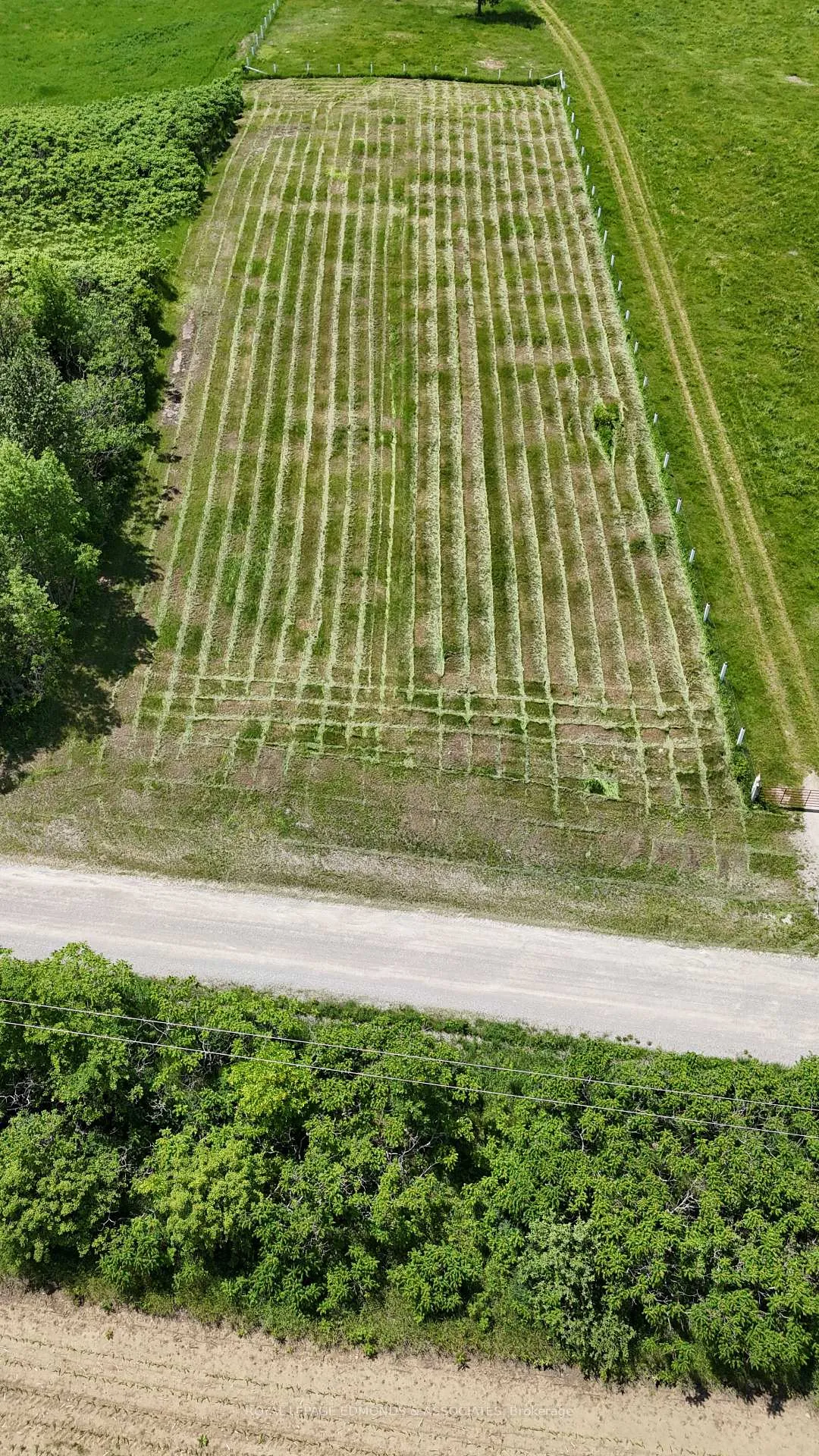 Photo 16 of 126 Davidson Road, Whitewater Region, Whitewater Region — HOMEH