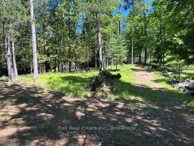 Photo 12 of 79 Fire Route 89D, North Kawartha — HOMEH