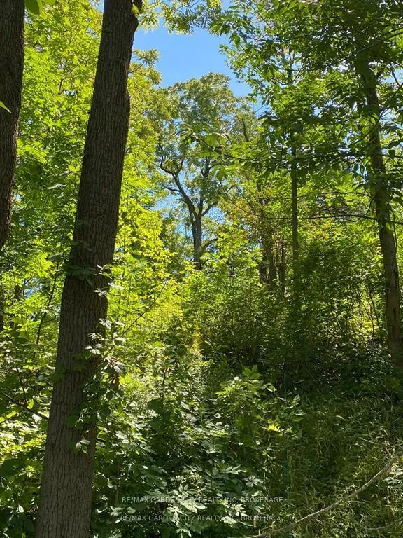 Photo 6 of Pt Lt 3 Effingham Street, Pelham, North Pelham — HOMEH