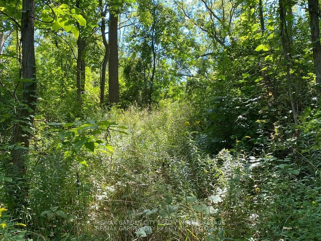 Photo 7 of Pt Lt 3 Effingham Street, Pelham, North Pelham — HOMEH
