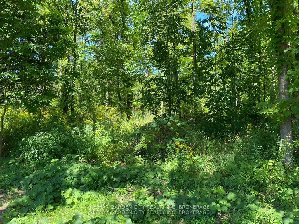 Photo 9 of Pt Lt 3 Effingham Street, Pelham, North Pelham — HOMEH