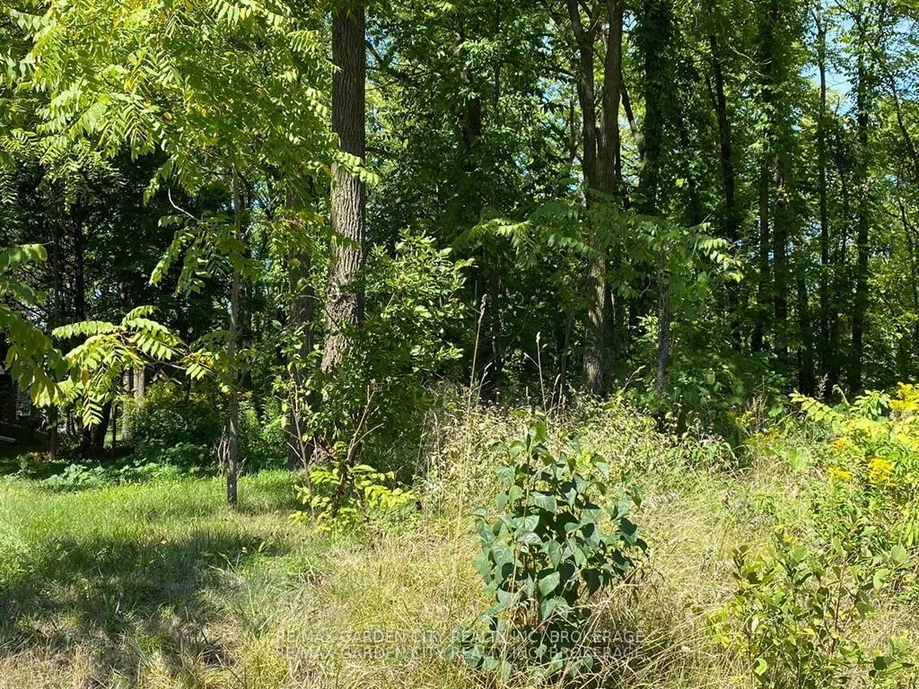 Photo 10 of Pt Lt 3 Effingham Street, Pelham, North Pelham — HOMEH