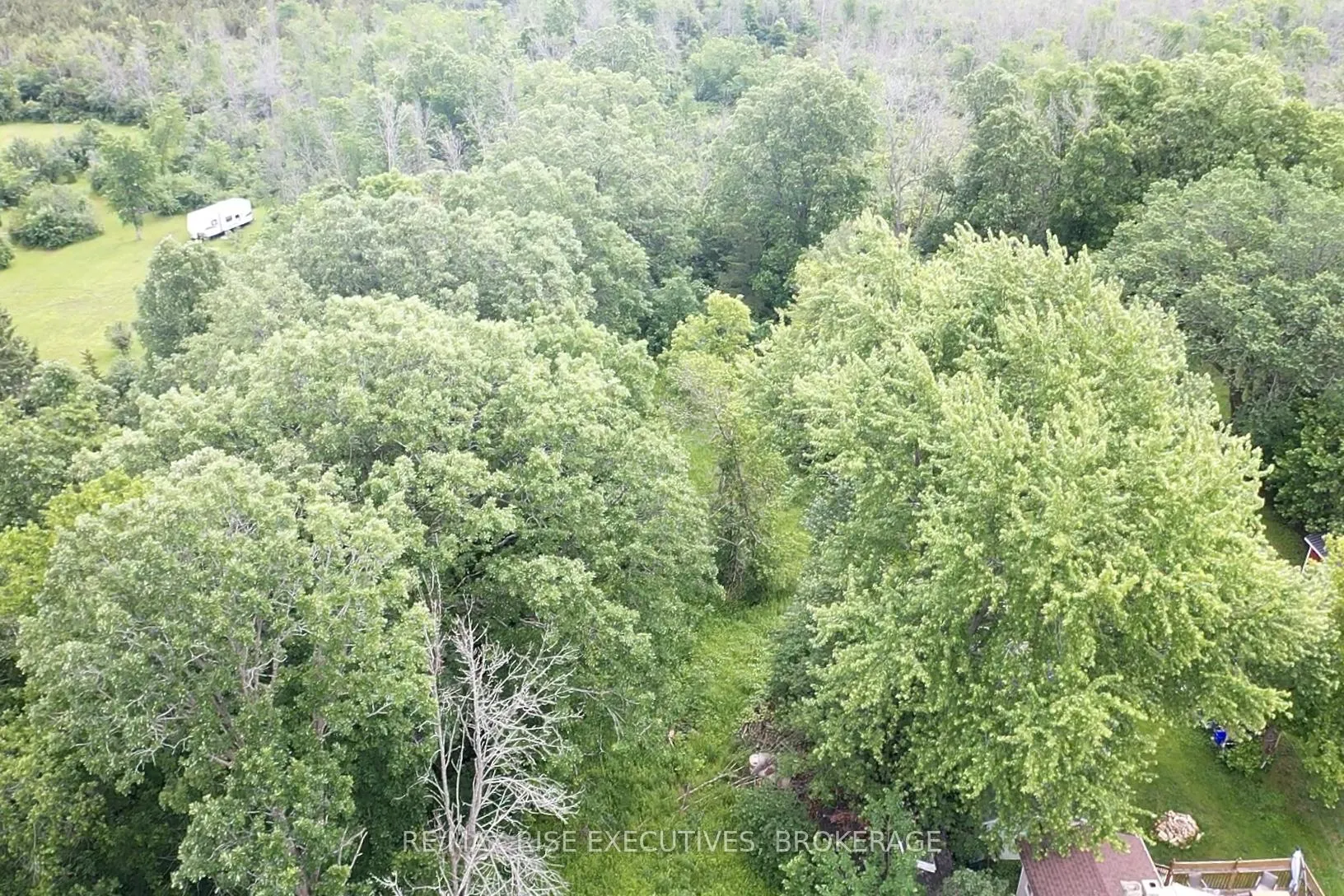 Photo 4 of 1337 Old Wilton Road, Loyalist, Lennox and Addington - South — HOMEH