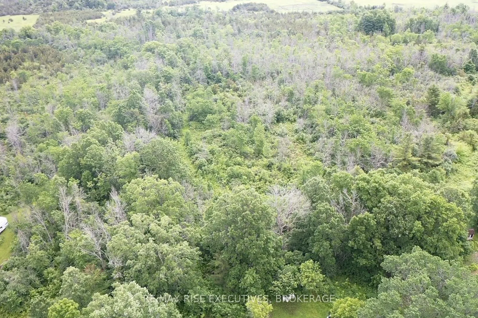 Photo 5 of 1337 Old Wilton Road, Loyalist, Lennox and Addington - South — HOMEH