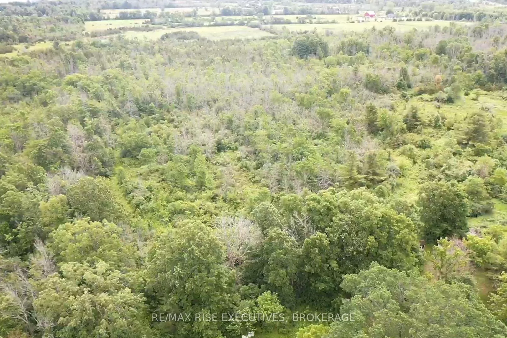 Photo 7 of 1337 Old Wilton Road, Loyalist, Lennox and Addington - South — HOMEH