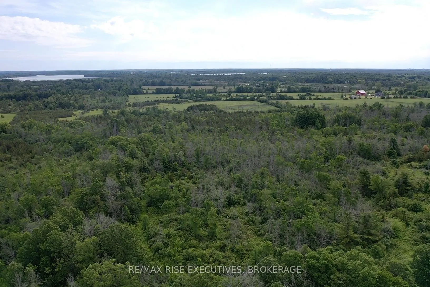 Photo 8 of 1337 Old Wilton Road, Loyalist, Lennox and Addington - South — HOMEH