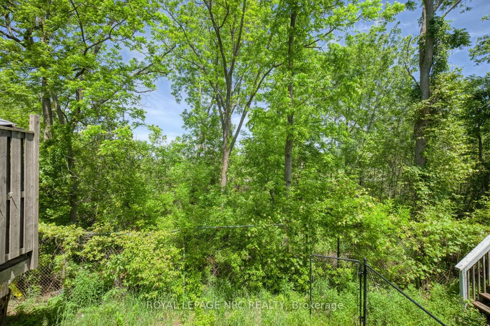 Photo 28 of 34 Chloe Street, St. Catharines, E. Chester — HOMEH