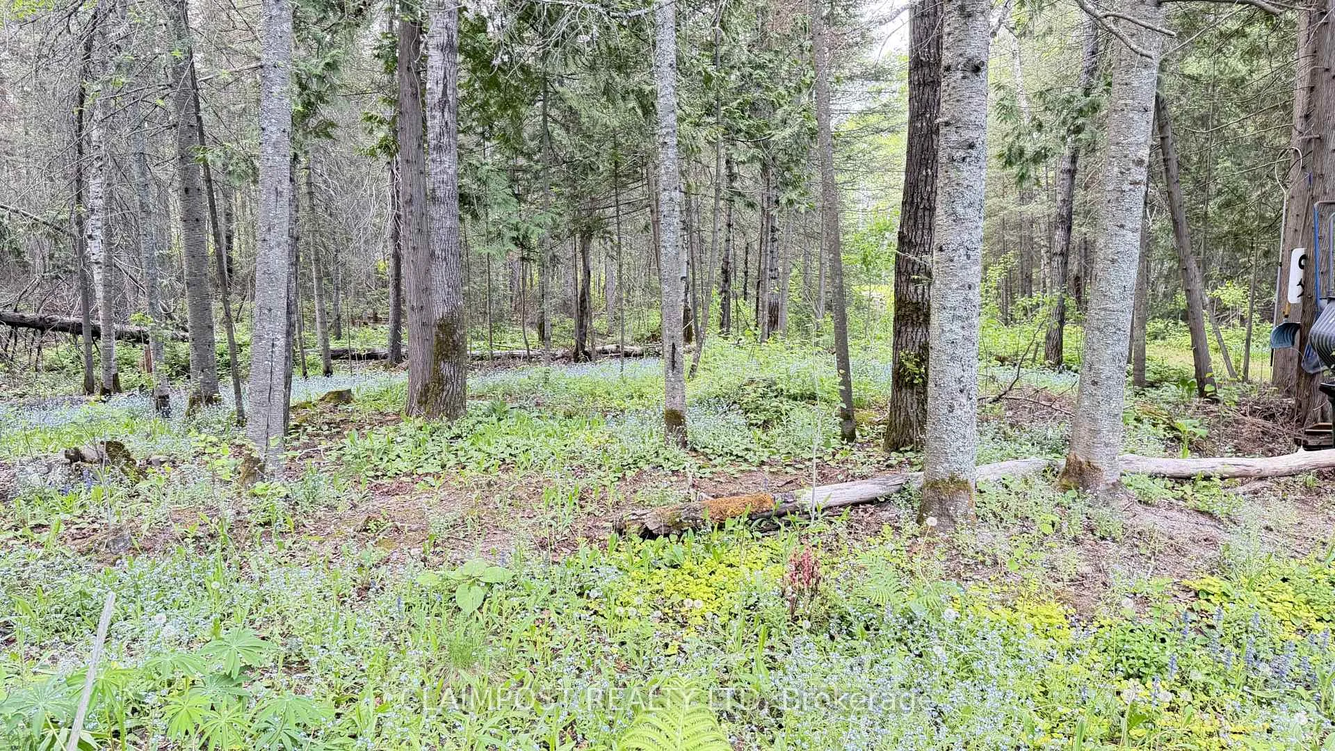 Photo 25 of 175 Claimpost Trail, Timmins, SCH - Gold Centre — HOMEH