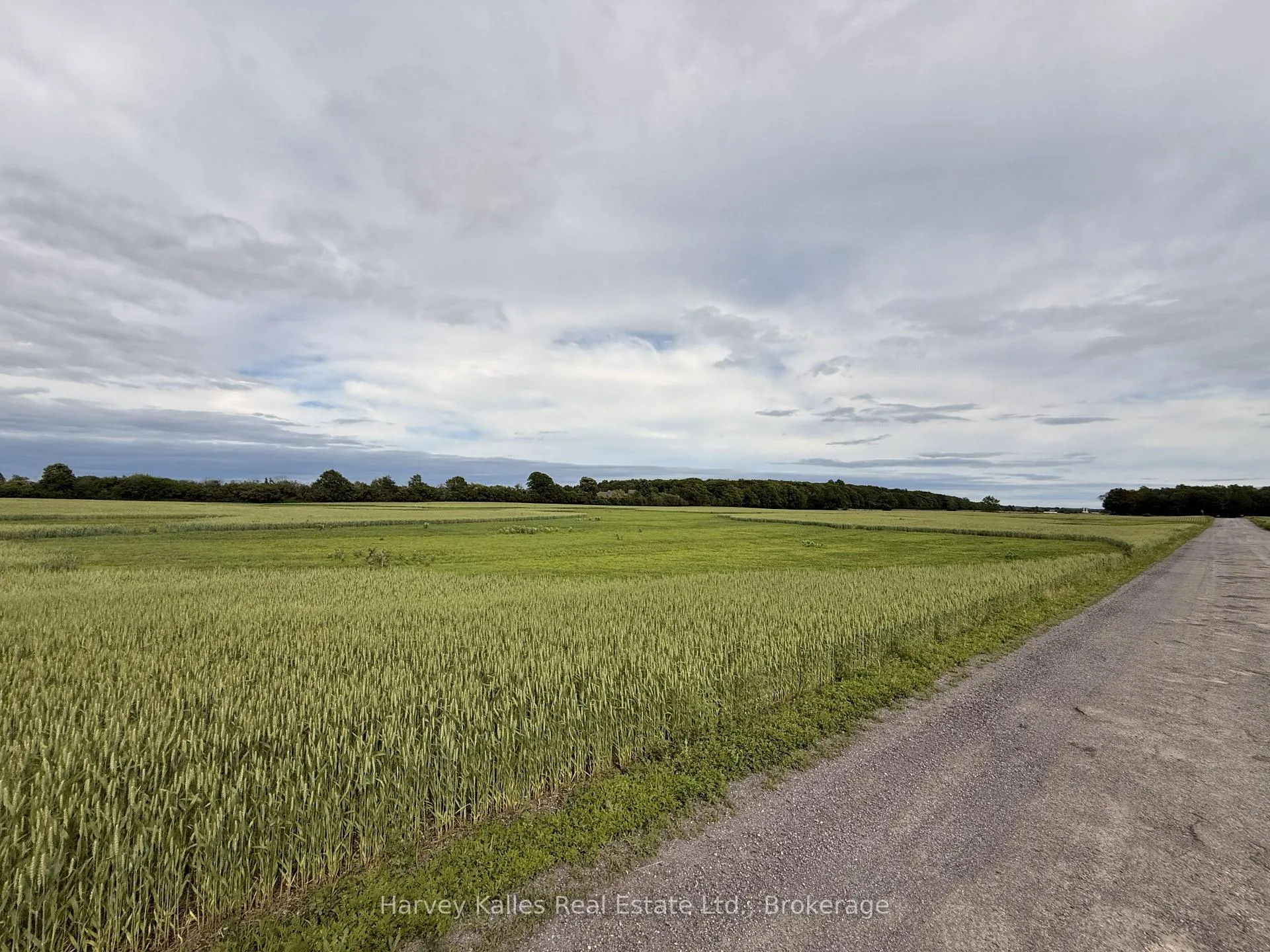 Photo of Beside 243 Morgan Road