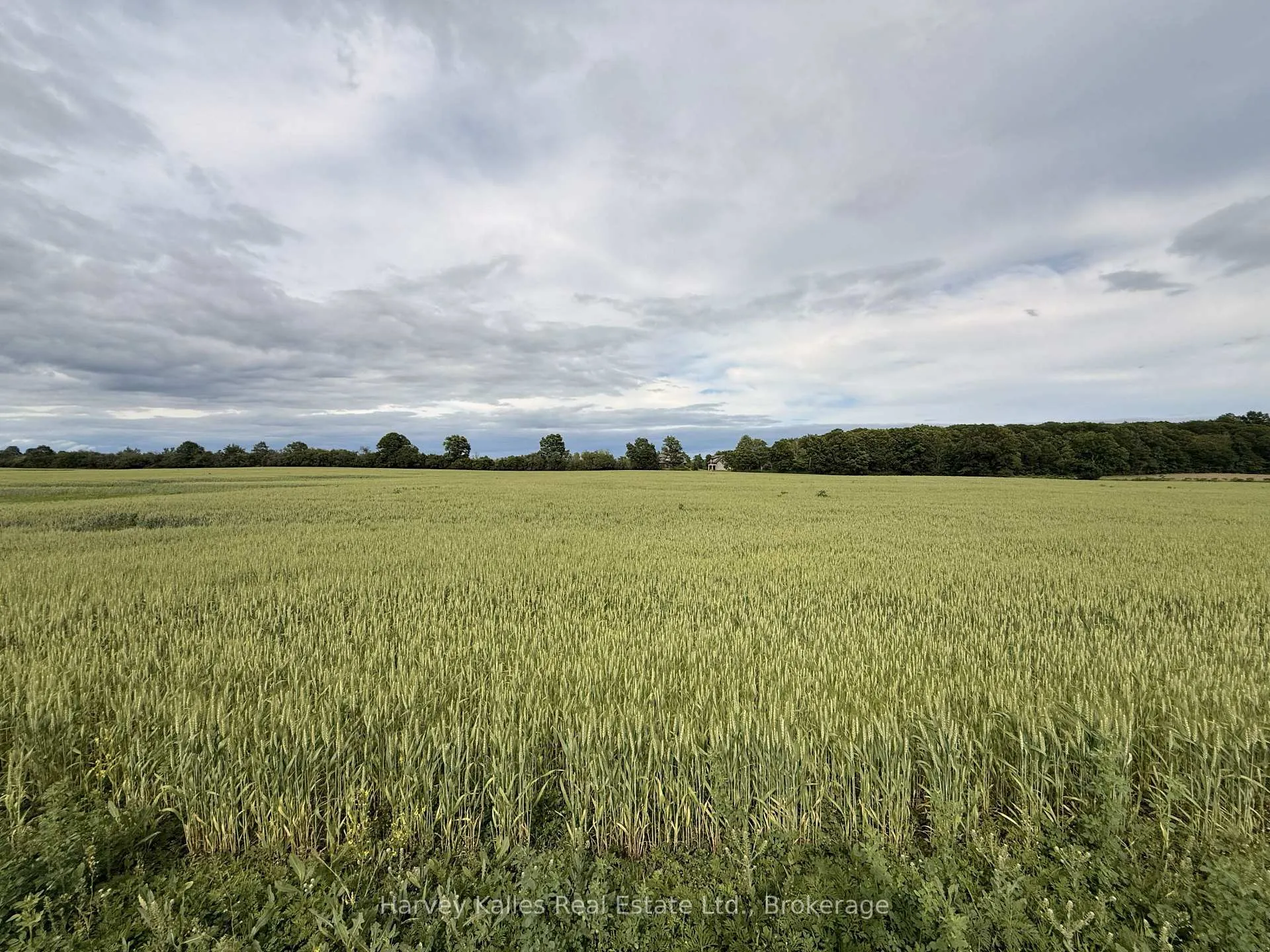 Photo 6 of Beside 243 Morgan Road, Prince Edward County, Hallowell Ward — HOMEH