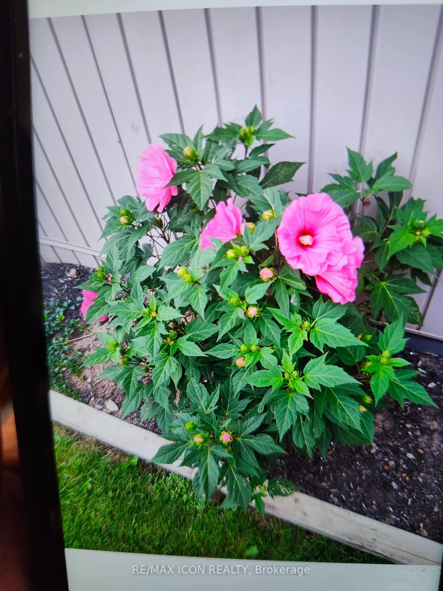 Photo 38 of 102 Byeland Drive, Wellington North, Mount Forest — HOMEH