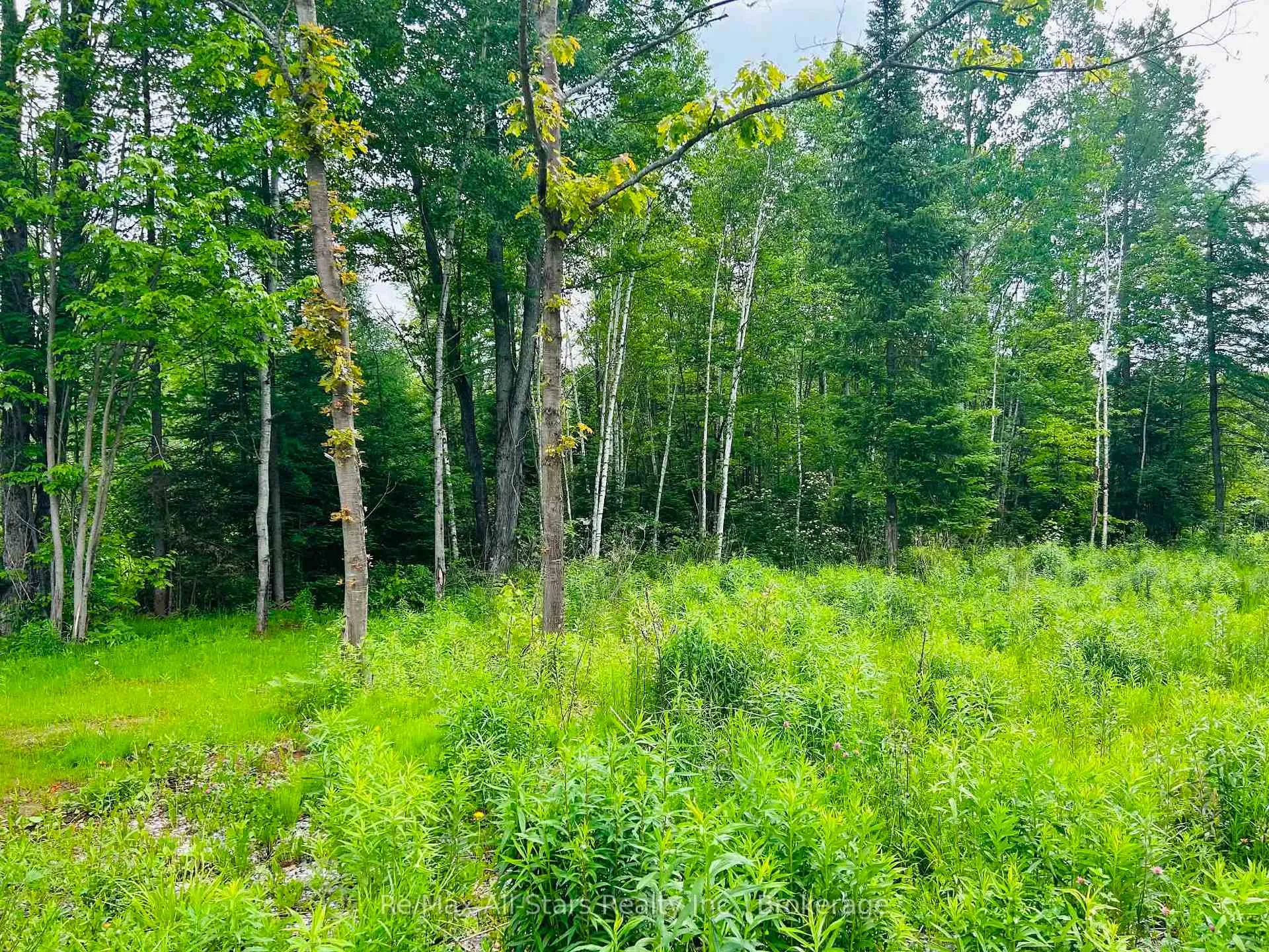 Photo 14 of 1190 Bacon Road, Minden Hills, Snowdon — HOMEH