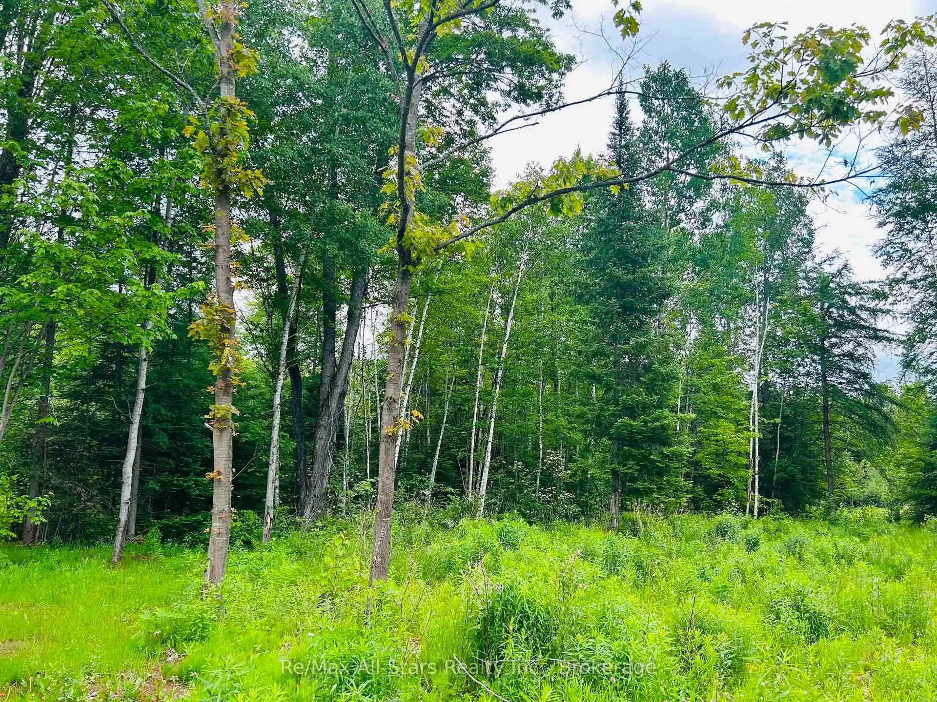 Photo 16 of 1190 Bacon Road, Minden Hills, Snowdon — HOMEH