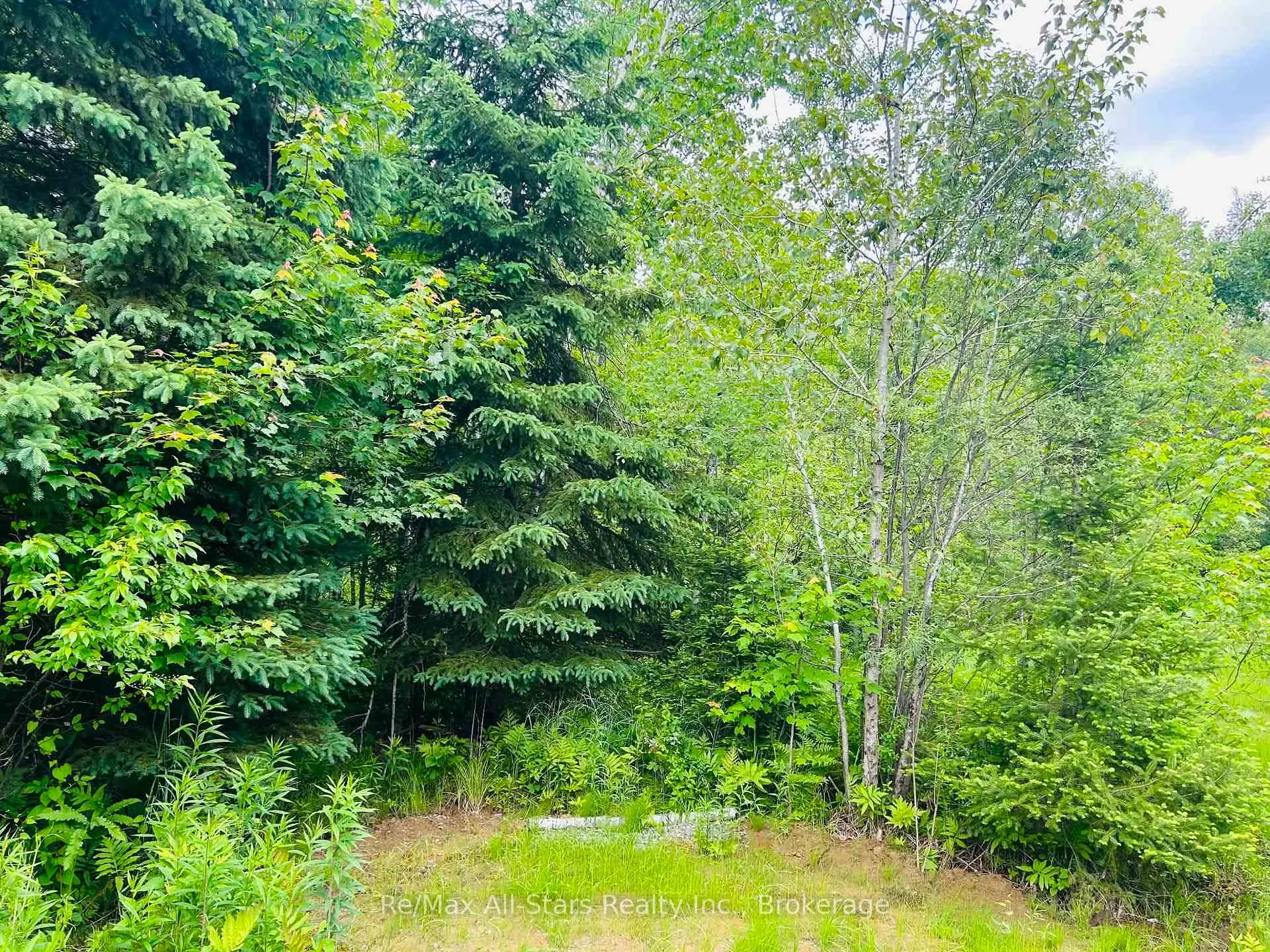 Photo 17 of 1190 Bacon Road, Minden Hills, Snowdon — HOMEH