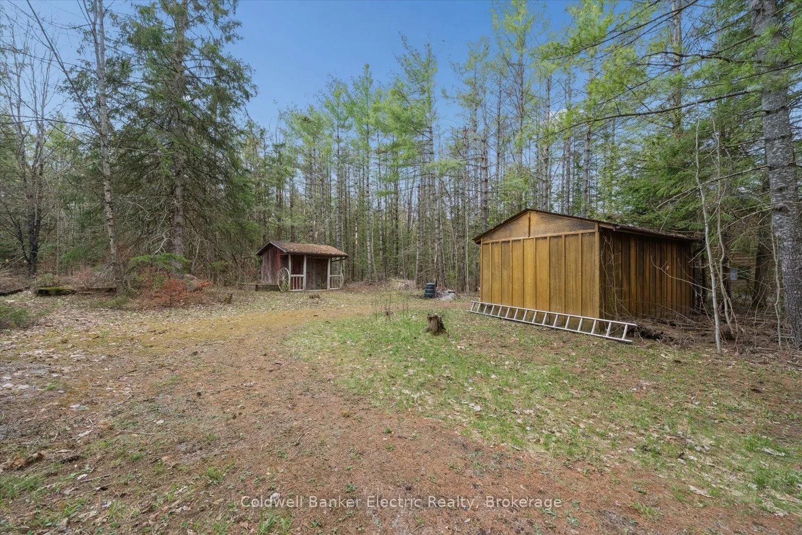 Photo 52 of 197 Hillside Drive, Kawartha Lakes, Somerville — HOMEH