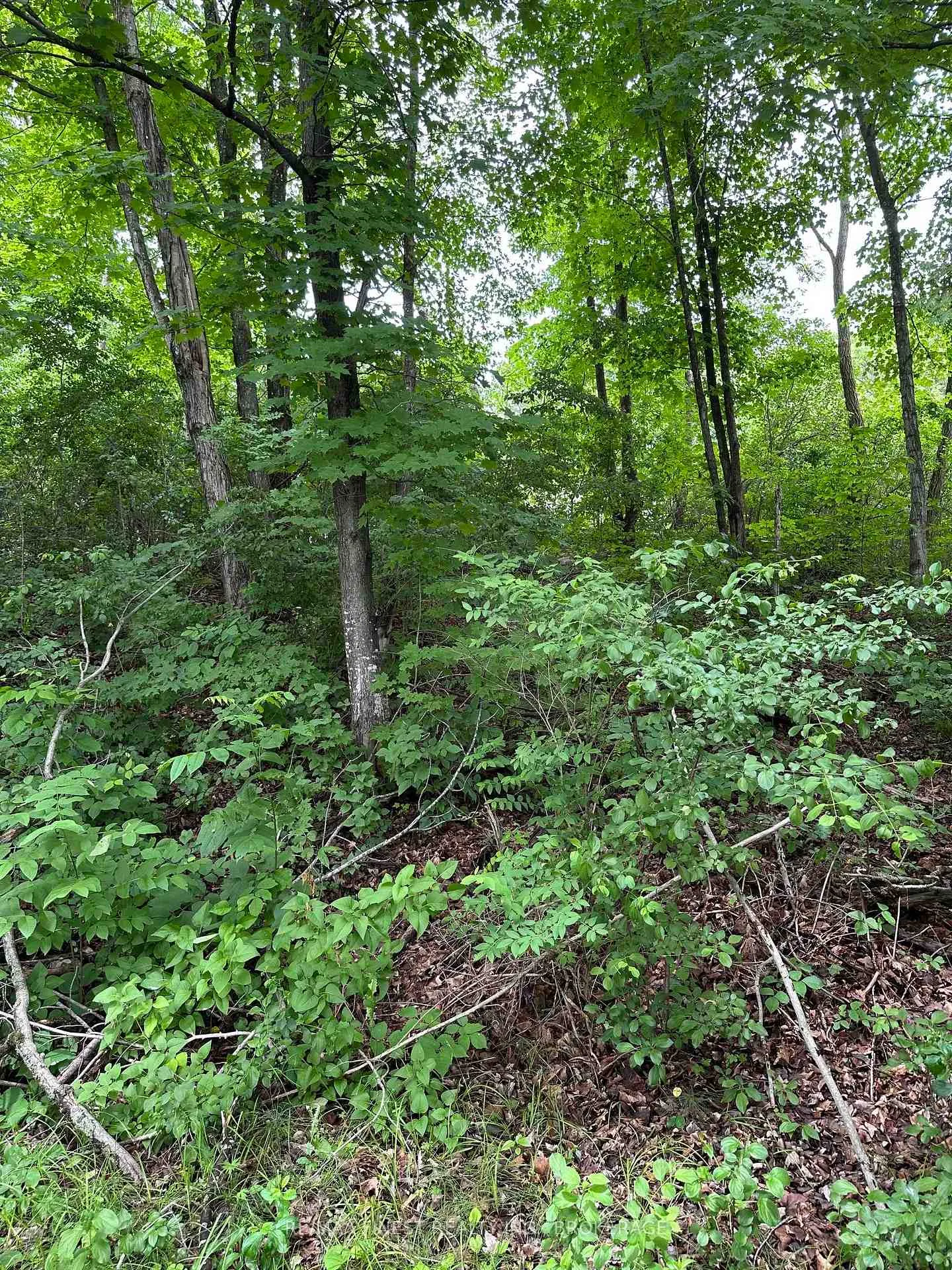 Photo 10 of 1213 Clement Road, Frontenac, Frontenac Centre — HOMEH
