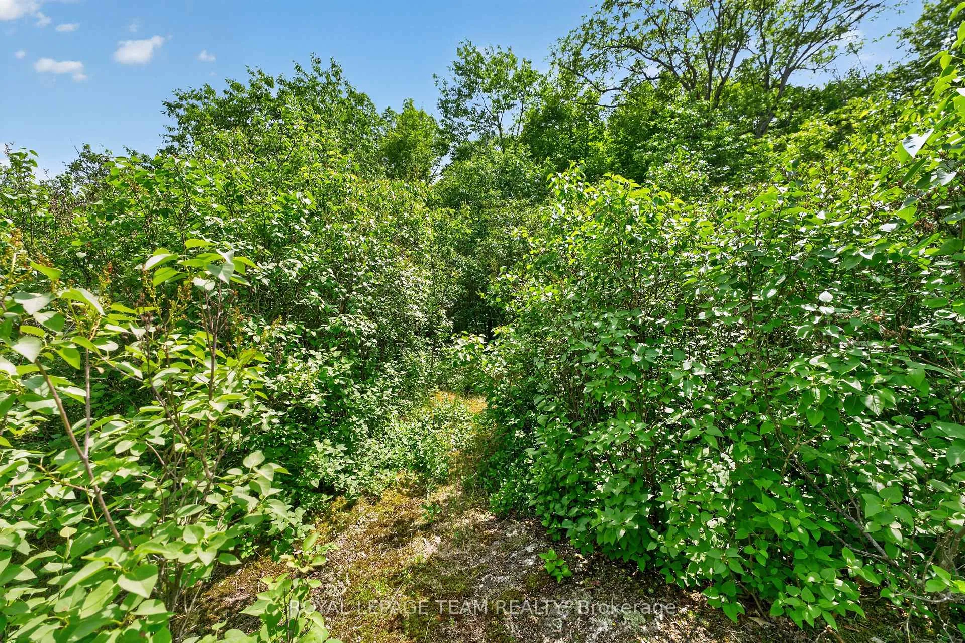 Photo 13 of 1391 Huntmar Drive, Ottawa, Huntley Ward (South East) — HOMEH