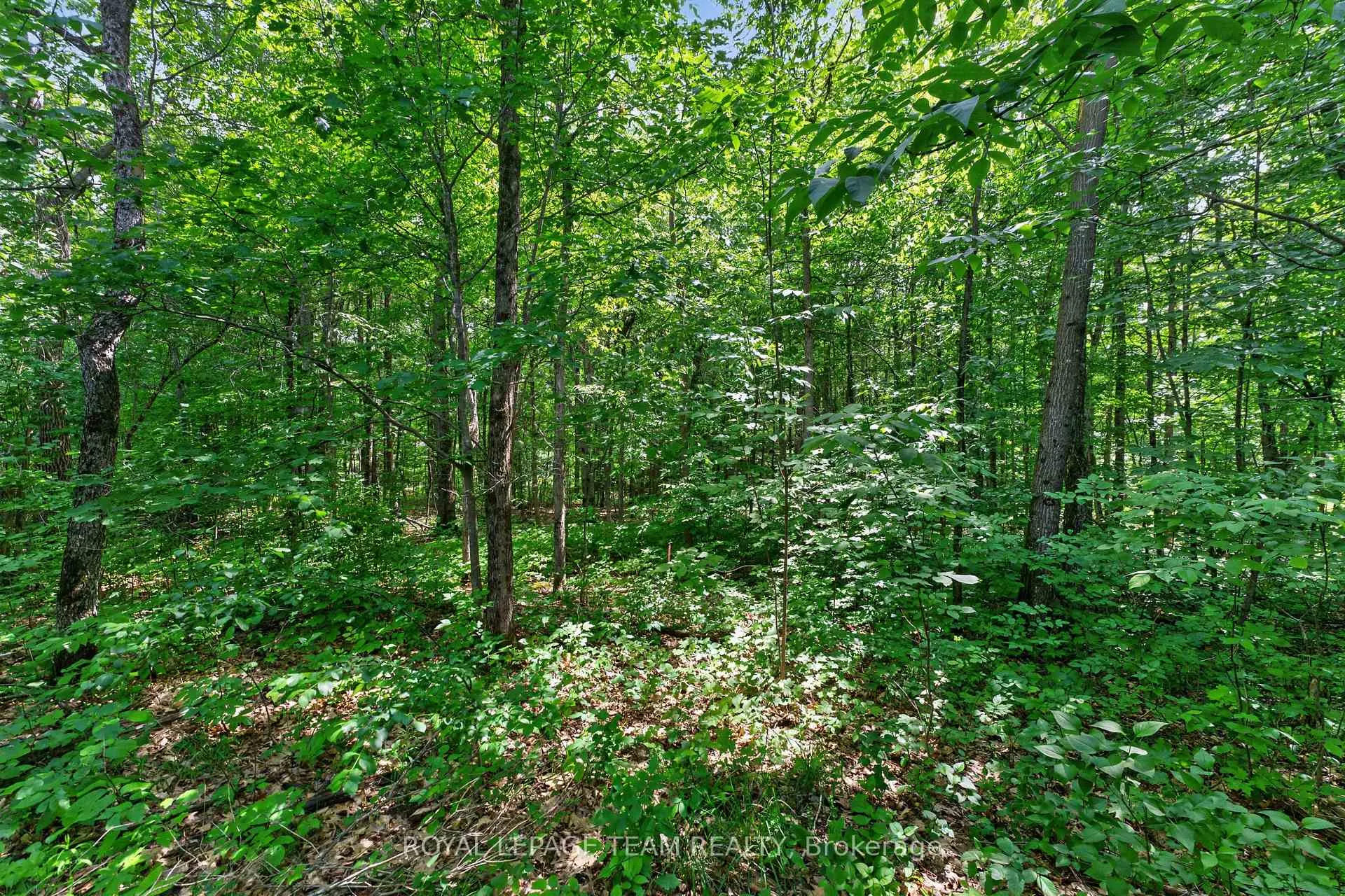 Photo 14 of 1391 Huntmar Drive, Ottawa, Huntley Ward (South East) — HOMEH