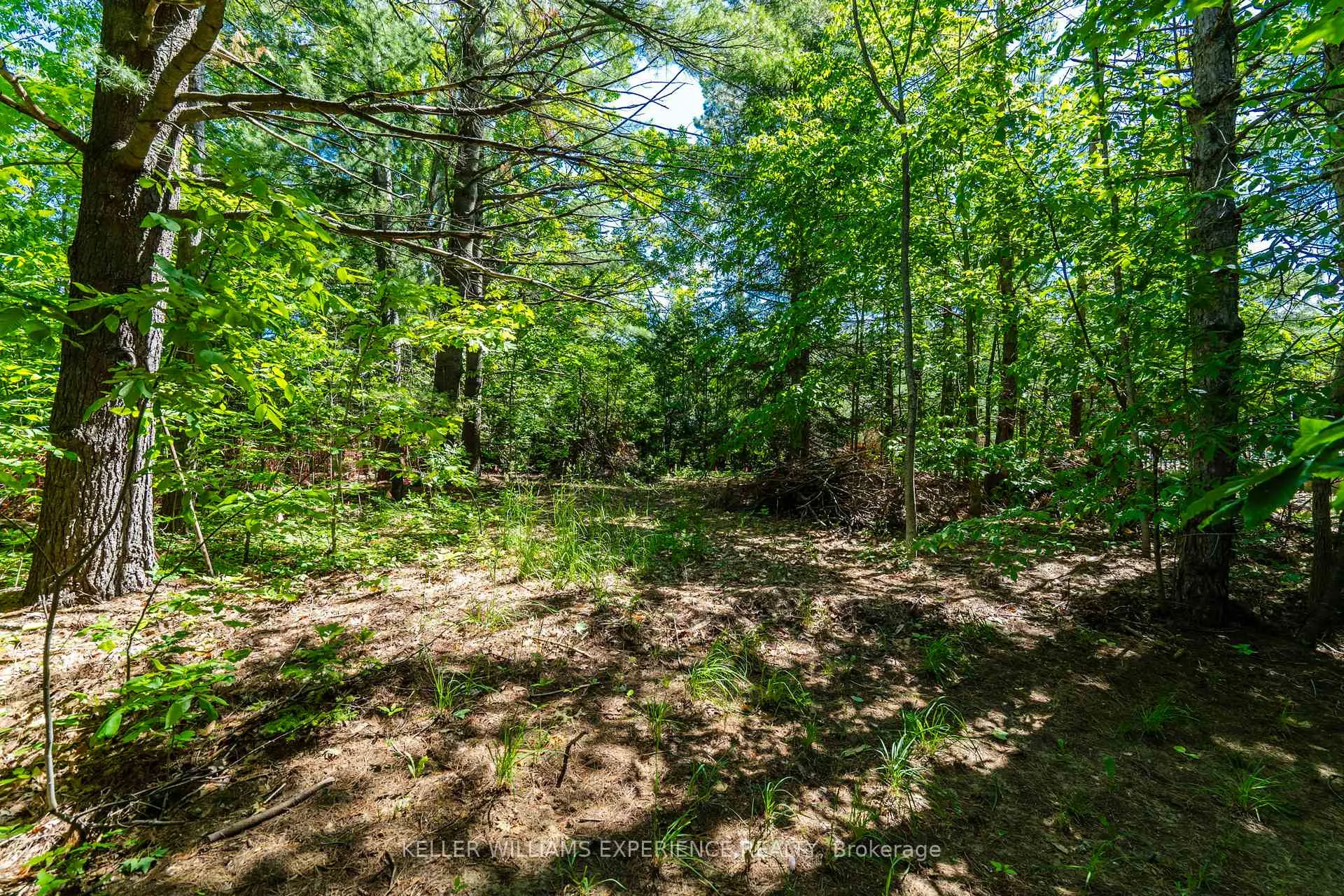 Photo 9 of 2 Greenshields Crescent, Oro-Medonte, Rural Oro-Medonte — HOMEH