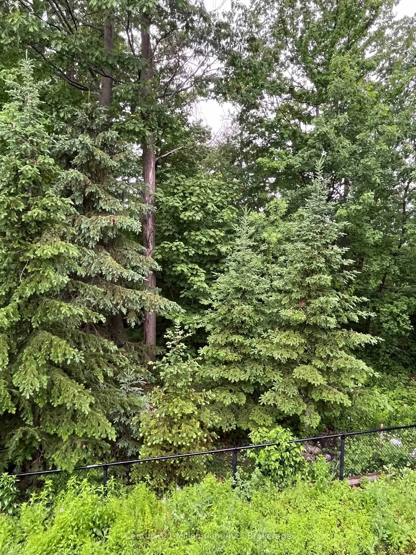 Photo 37 of 19 Tanager Crescent, Wasaga Beach — HOMEH